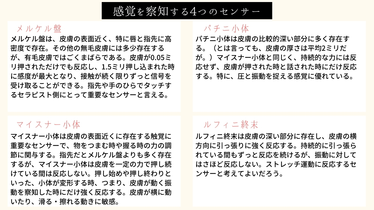 感覚を察知する4つのセンサー